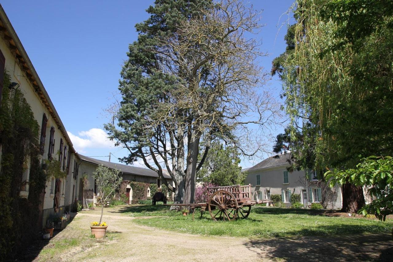 Clos Des Ecureuils Bed and Breakfast Bouille-Loretz Exteriör bild